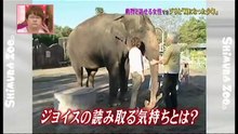 像のランディ【涙腺崩壊】