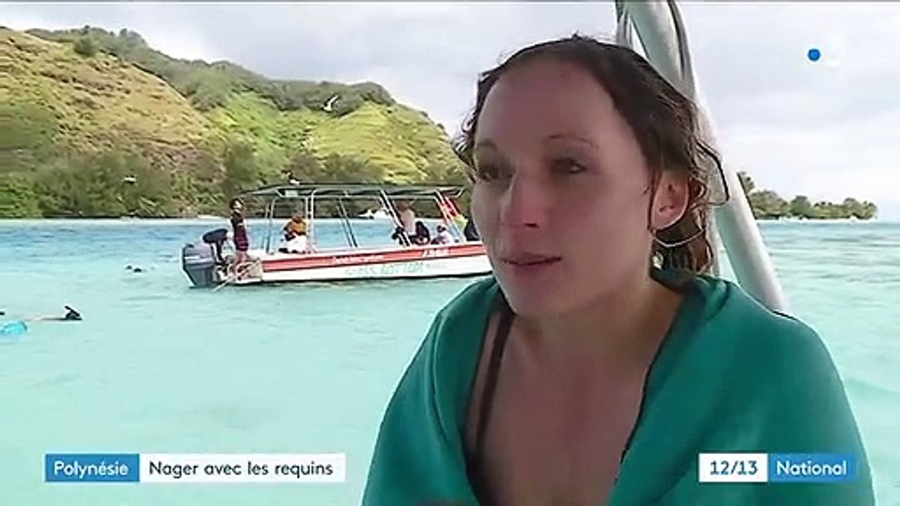 Polynésie : nager avec les requins