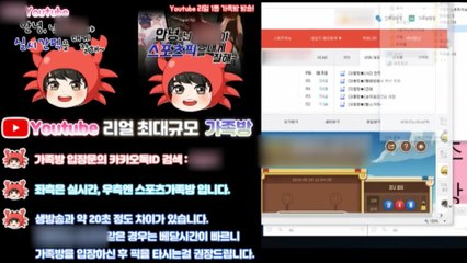 '불법 도박 강의'...억대 챙긴 유튜버 구속 / YTN