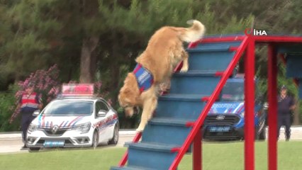 Jandarma Teşkilatı’nın 180. gurur yılı düzenlenen törenle kutlandı