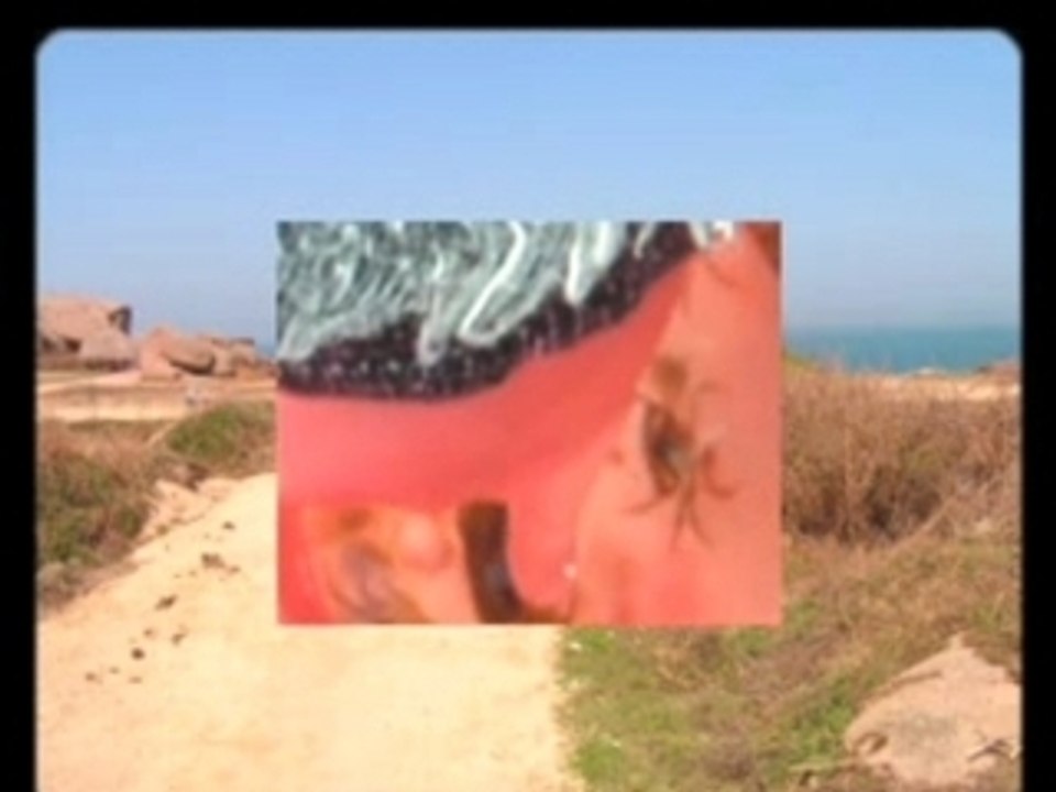 La pêche aux crabes