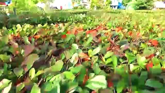 Vlog for children- Amusement park, crazy slides and maze games Влог для детей- Парк аттракционов, сумасшедшие горки и игры в лабиринте