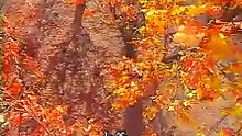 【張衛健-HD】刀歌 之 短刀行 01 高清 HD 2019