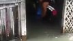 Un idiot tente de vider l'eau de sa maison pendant des inondations... Pas gagné