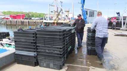 Pertes importantes chez Gestion Unipêche M.D.M