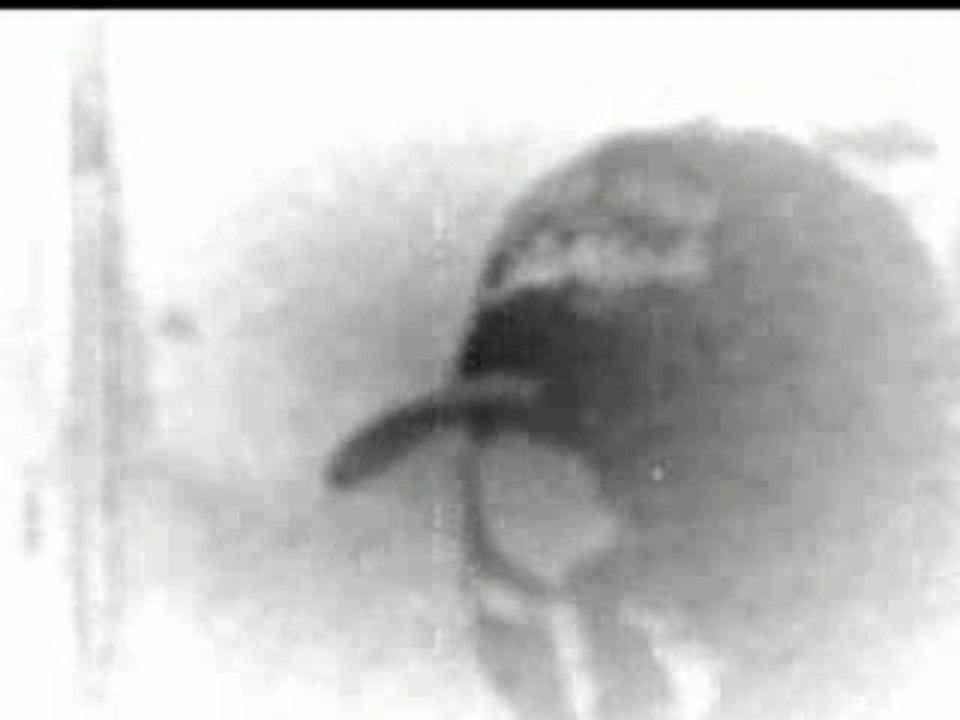 Vator du Tromatisme  freestyle ghetto