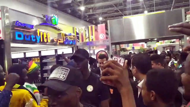 Arrivèe des LIONS au CAIRE