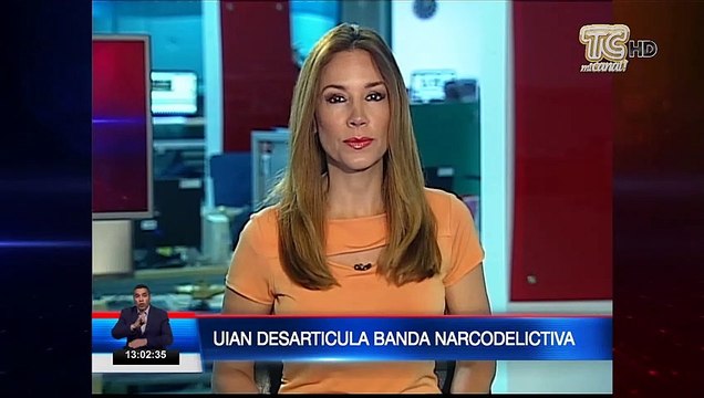 Desarticulan banda narcodelictiva que utilizaba aviones privados