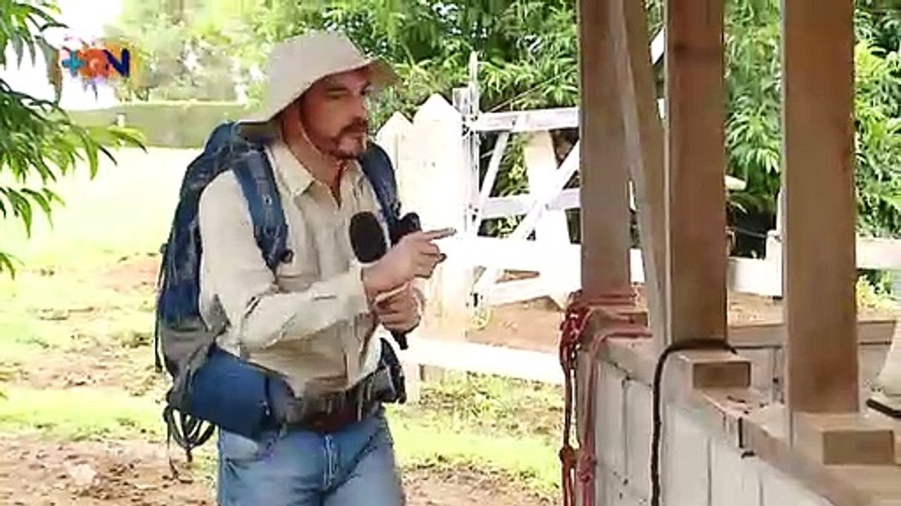 La Travesía de Ernesto