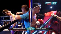PPTV Muay Thai Fight night - ฟ้าผงาด สิงห์นวอาวุธ Vs พันพยัคฆ์ พ.นิรมล