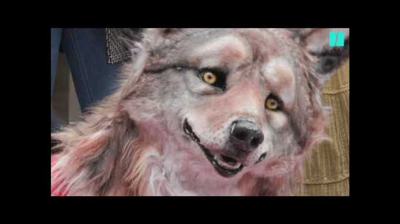 Peta manifeste devant le BHV pour dénoncer la cruauté de Canada Goose