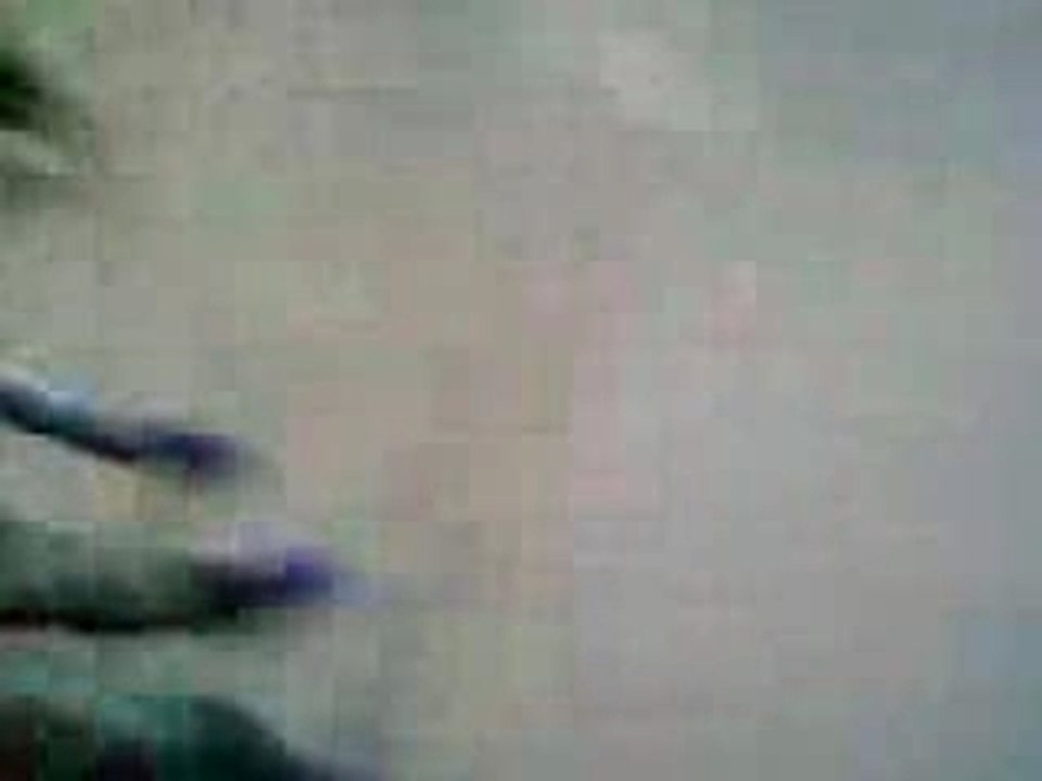 Lapatinoire1