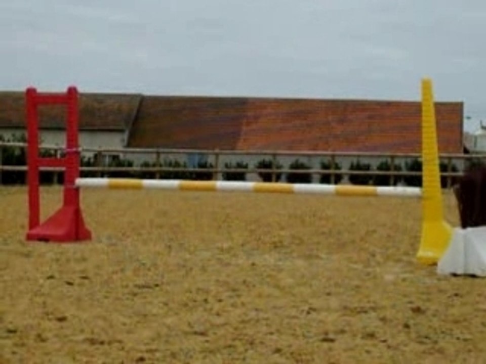 Obstacle 029