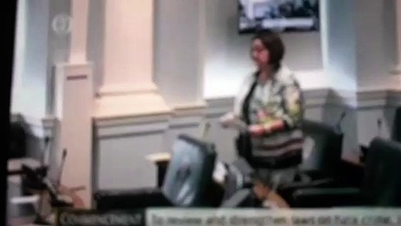 Senator  Gabrielle McFadden fine Gael attacks Gemma o Doherty and free speech