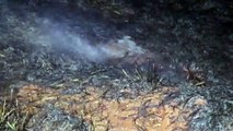 Corpo de Bombeiros combate incêndio em vegetação no Bairro Cataratas