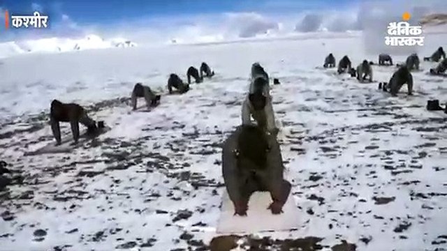 आईटीबीपी के जवानों ने लद्दाख में 18 हजार फीट की ऊंचाई पर योग किया