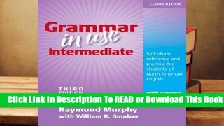 Online Grammar in Use Intermediate: Self-Study Reference and Practice for Students of North