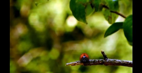 에이스경마 M A 892 점 NET 온라인경마사이트