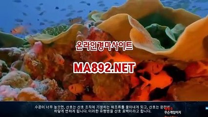 온라인경마사이트 MA892 점 NET