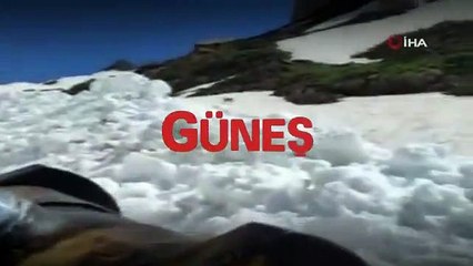 Haziran ayında yapılan kar çalışmasında dağ keçisi görüntülendi