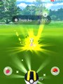 TREECKO IV 100 MAX CP 977 LIV 35 EVOLUTION GROVYLE