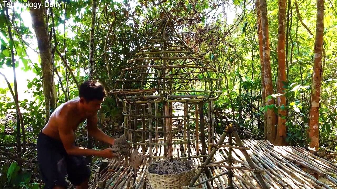 Build Most Wonderful Pig House And Swimming Pool For Pigs