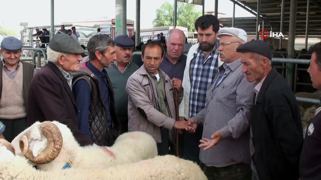 Şuhut Hayvan Pazarı'nda küçükbaş hayvan üreticileri yem fiyatlarından şikayetçi