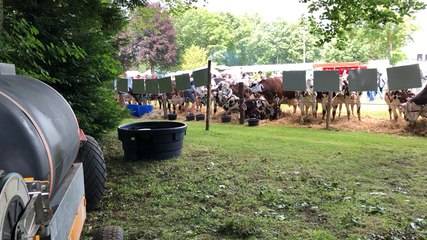 Comice et chasse au trésor dans le parc du château