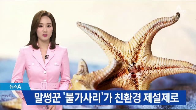 [바다UP, 스타트업]말썽꾼 ‘불가사리’, 친환경 제설제로 변신