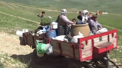 Muş’ta yaylalar şenlenmeye başladı