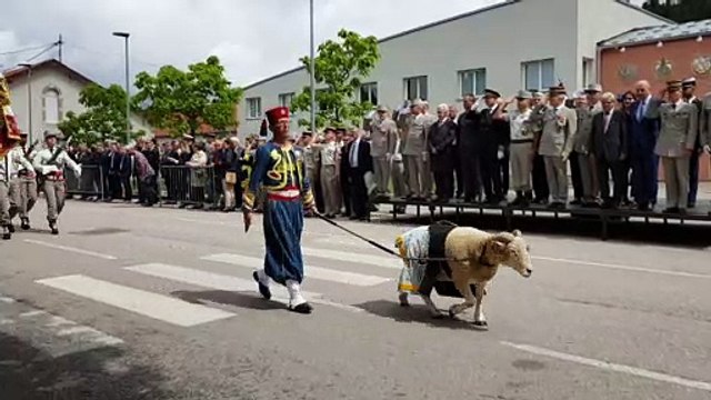 Epinal : l'au-revoir du colonel Leprêtre au régiment de Tirailleurs