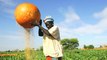 Nigeria land struggle: Farmers fight over resources