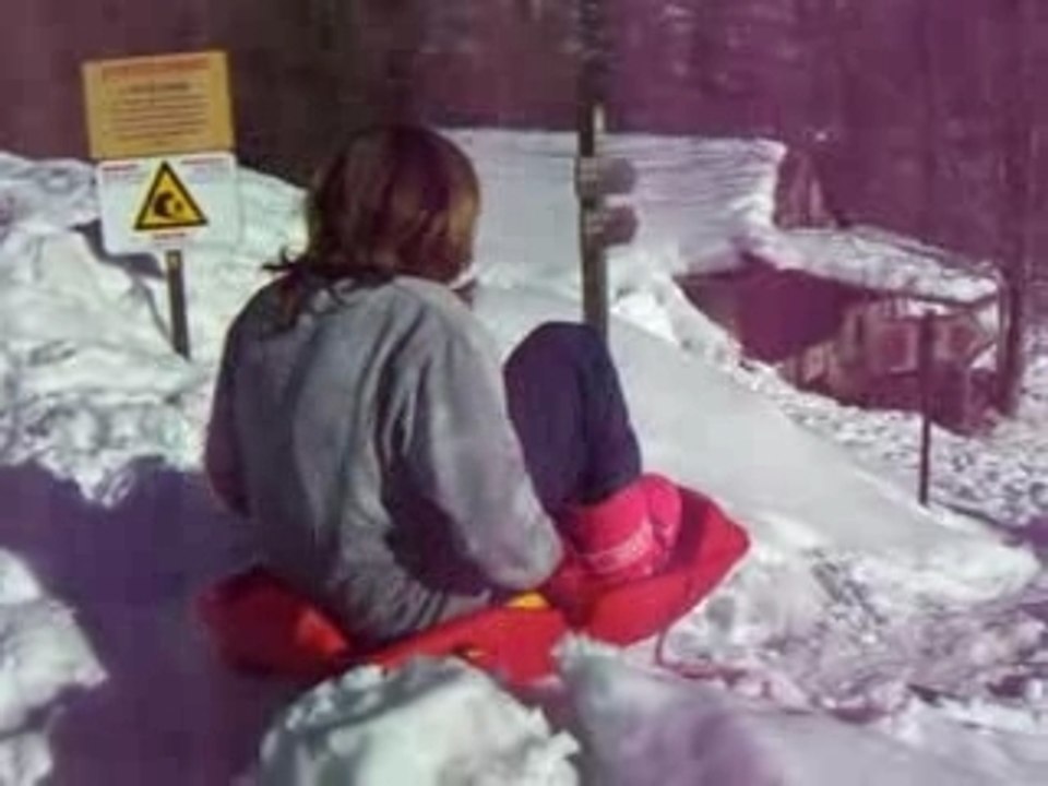 encore alex luge