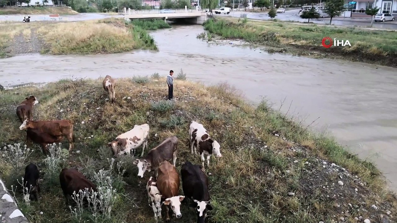 Yağmur suları yükselince dere kenarında mahsur kaldılar