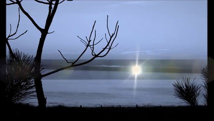 Fado - Nuno da Silva