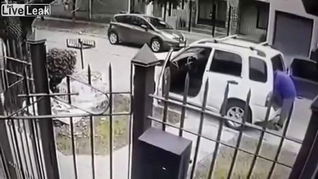 Cães evitam que o dono seja assaltado!