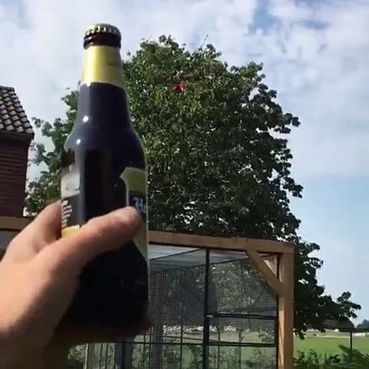 Ce perroquet décapsuleur appelé Jimmy sait comment entretenir ses relations amicales avec les humains. Regardez le !