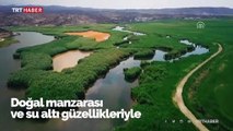 Su altı güzellikleriyle Ağrı Dağı Milli Parkı