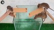 Rat Trap Water - 12 Mice in trapped 1 Hour - Mouse trap - How to Make Rat Trap
