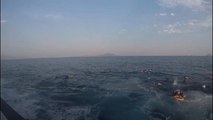 غرق شدن ۸ پناهجو در دریای اژه