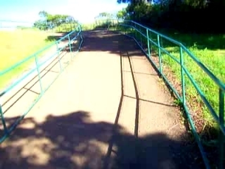 071110-14 Na Pali Kona Forest Reserve, Kauai, Hawaii