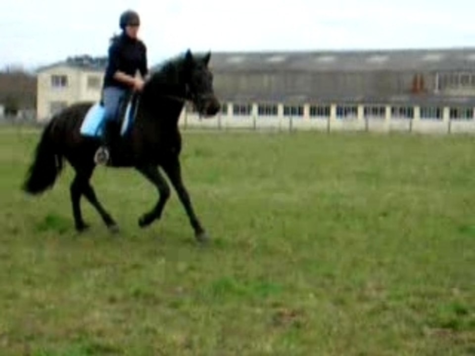 Quiator16