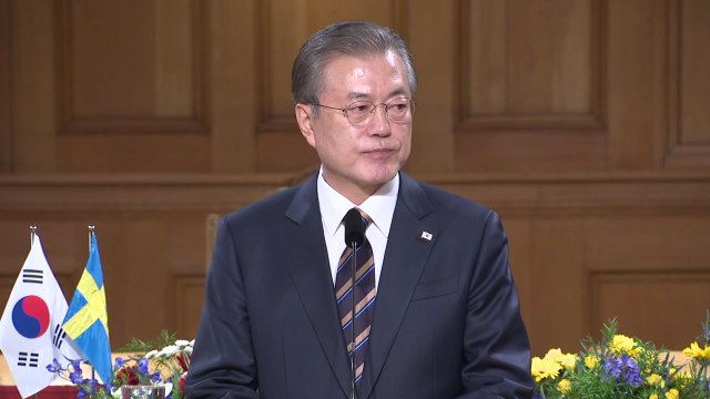 남북·북미 정상회담 기대 키운 6박 8일 북유럽 강행군 / YTN