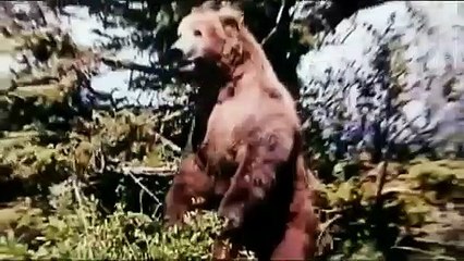 Grizzly Man Documentary movie (2005)