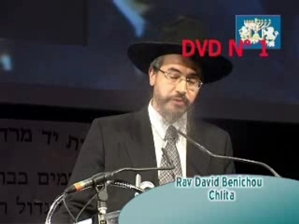 Rav Steinmann dvd 1