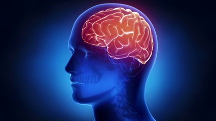 BABA RAMDEV | DIMAK TEZ KARNE KA TARIKA IN HINDI | MEMORY POWER INCREASE TIPS | PATANJALI PRODUCTS