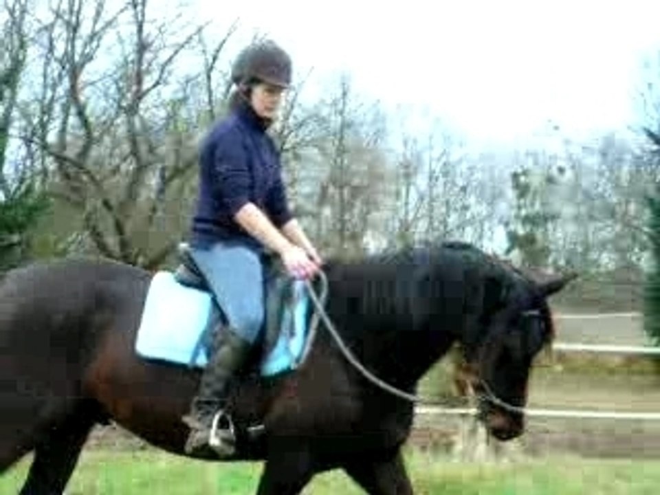 Quiator18