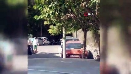 Beşiktaş Ortaköy’de arı istilası