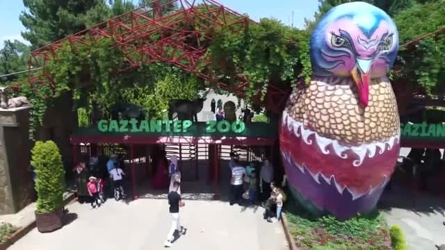 Hayvanat bahçesi sakinlerine buzlu kokteyl