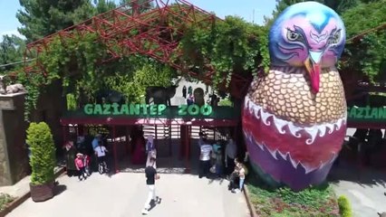 Hayvanat bahçesi sakinlerine buzlu kokteyl